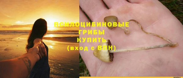 шишки Богданович