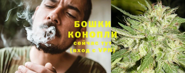 mix Богородск