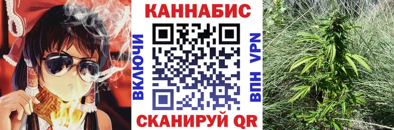 Бошки Шишки ГИДРОПОН  Богородск 